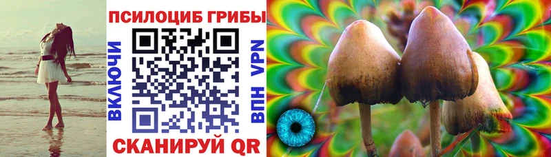 где продают наркотики  Белебей  Псилоцибиновые грибы Psilocybe 